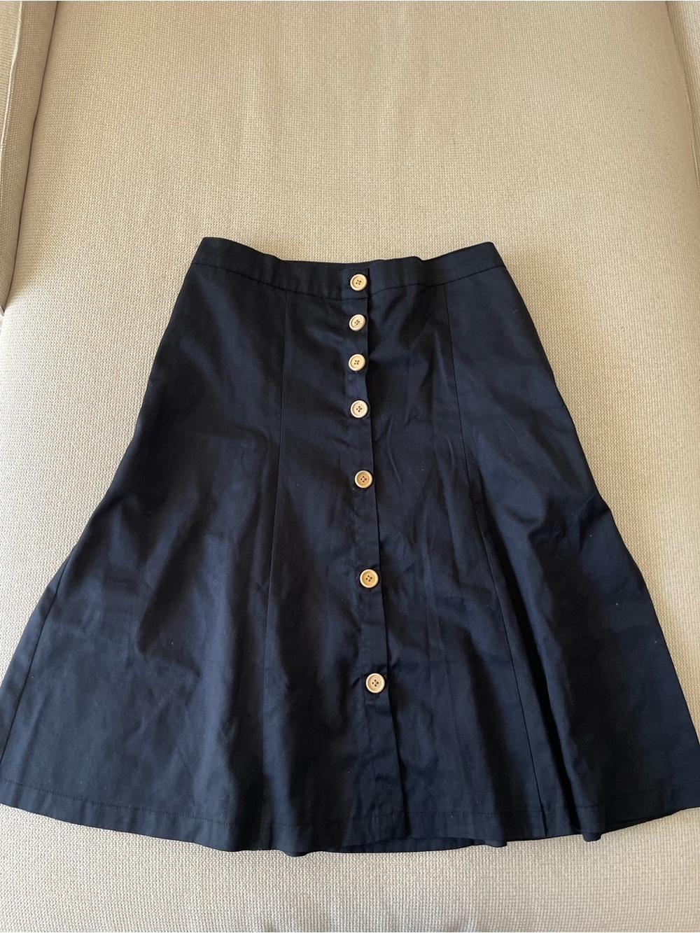 Navy Skirt